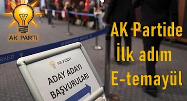 İlk adım E-temayül