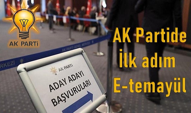 İlk adım E-temayül
