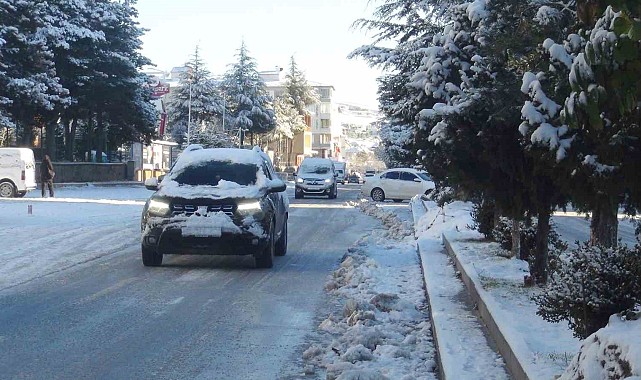 Kar yağışı Ahlat'ı beyaza bürüdü