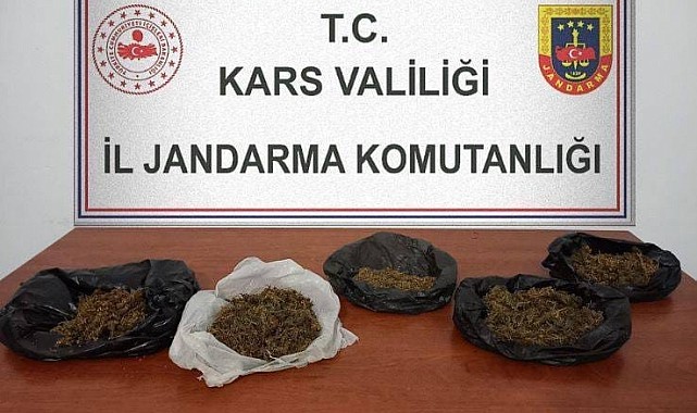 Kars'ta 700 gram bonzai ele geçirildi