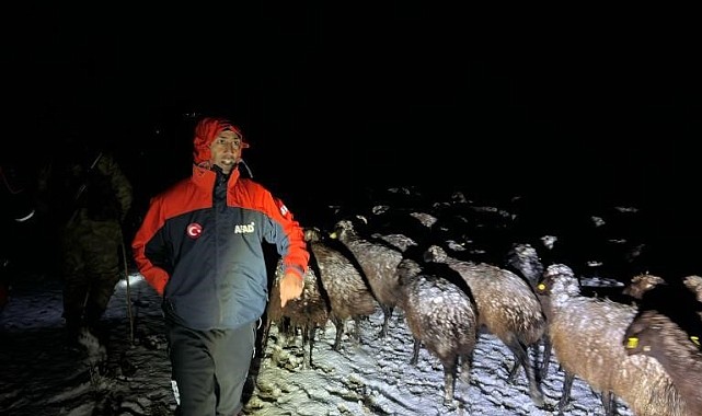 Mahsur kalan 3 çoban ve 3 bin koyun kurtarıldı