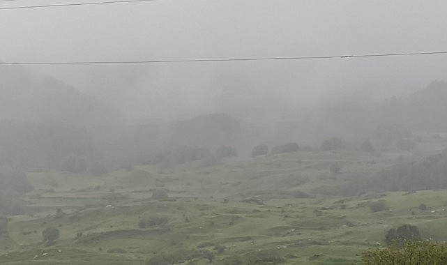 Sahara ve Ilgar geçidinde yoğun sis ulaşımı olumsuz etkiliyor