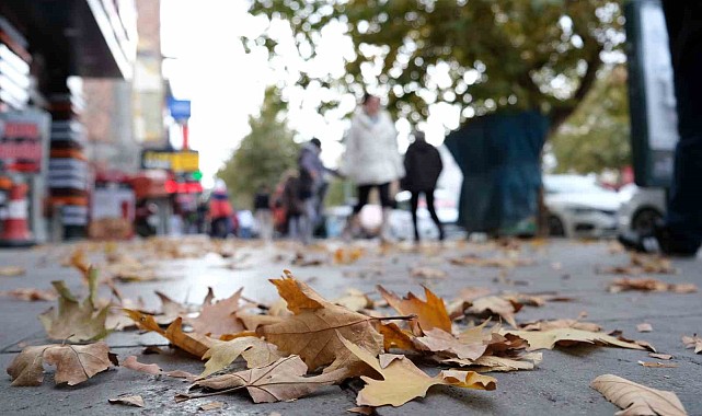 Sararan ve dökülen yapraklar görsel şölen oluşturdu