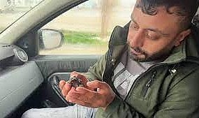 Sel sularında çırpınan serçeyi habere giden gazeteci kurtardı