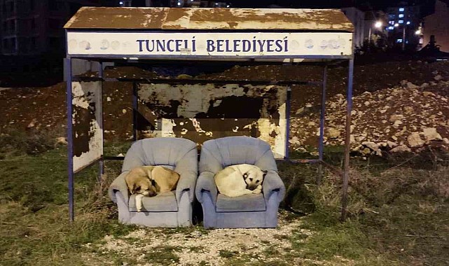 Soğuktan otobüs durağına sığınıyorlar