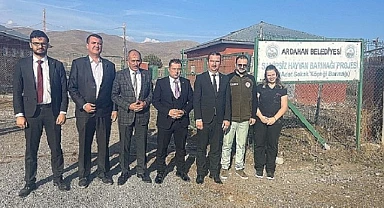Veteriner hekimler odası sokak hayvanları bakım evinde incelemelerde bulundu