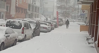 Ardahan'da beyaz esaret