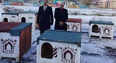 Başkan  Akkoç, sokak köpeklerini barınaklarına kavuşturdu