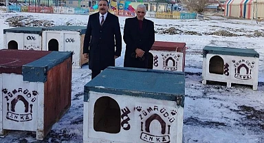 Başkan  Akkoç, sokak köpeklerini barınaklarına kavuşturdu
