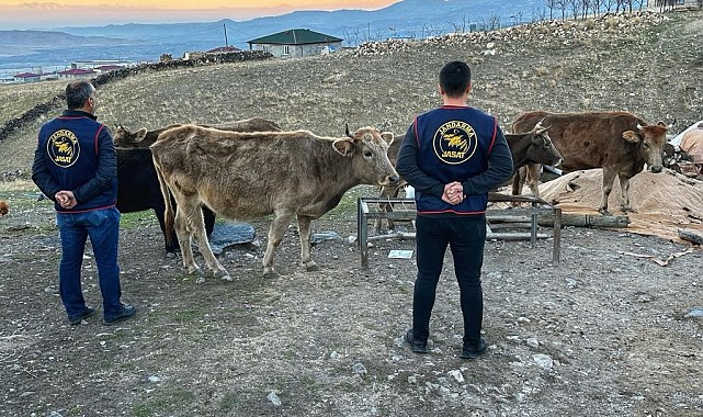 Çalınan hayvanlar bulunarak sahibine teslim edildi