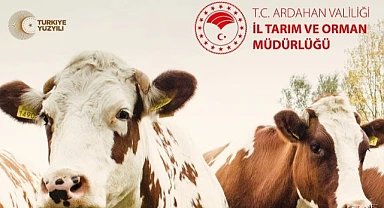 İl Tarım'dan buzağı desteği
