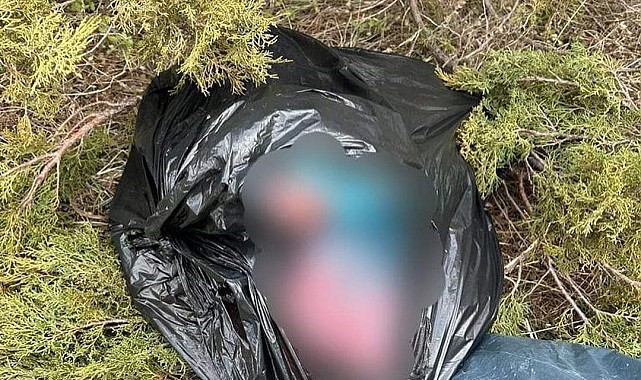 Kaçak avcılık yapan 2 şahsa 308 bin lira ceza kesildi