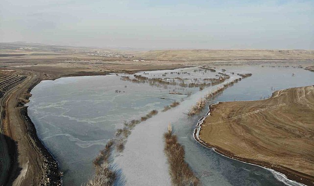 Kars'ta soğuktan baraj gölü dondu