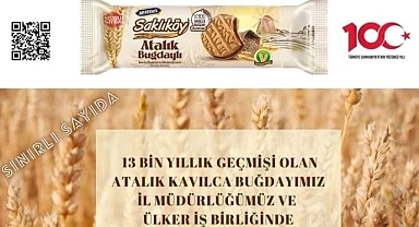Kavılca buğdayından üretilen bisküvi raflarda yerini aldı