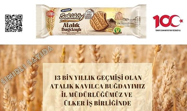 Kavılca buğdayından üretilen bisküvi raflarda yerini aldı