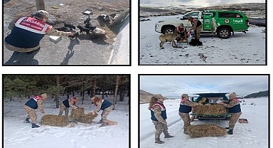 Soğuk kış günlerinde yaban hayvanlarını unutmadılar