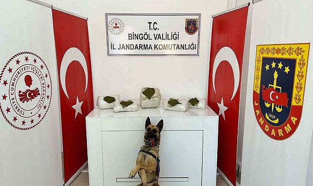 Toprağa gömülü 13 kilo uyuşturucu ele geçirildi