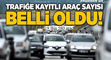 TÜİK Ardahan’daki araç sayısını açıkladı!