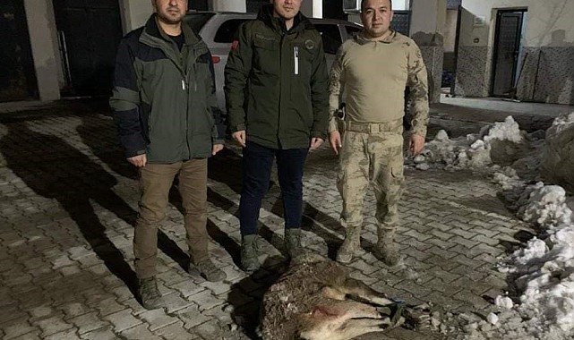 Yaban keçisi avlayan 2 kişiye 314 bin 576 lira idari para cezası kesildi
