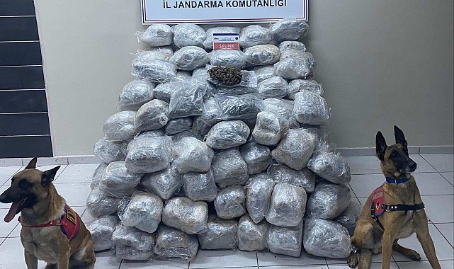 138 kilo skunk ele geçirildi