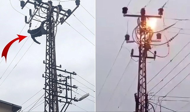 Akli dengesi yerinde olmayan kişi, elektrik direğine çıkarak akıma kapıldı