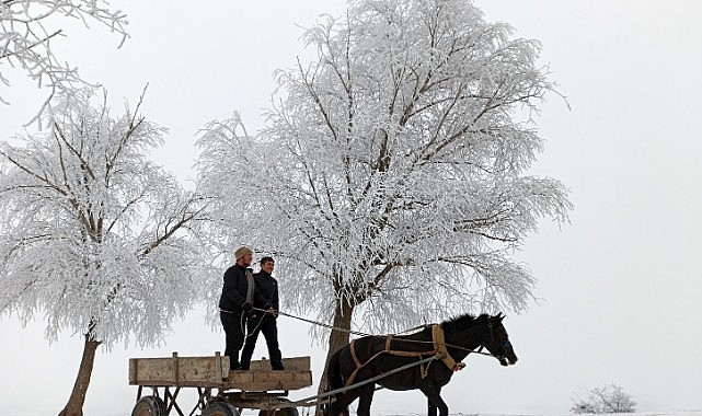 Ardahan buz kesti: Sıcaklık eksi 20,4 derece!