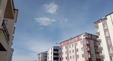 Ardahan kış ortasında yaz havası yaşıyor