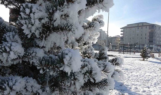 Ardahan'da dondurucu soğuklar: Göle -29,8 derece