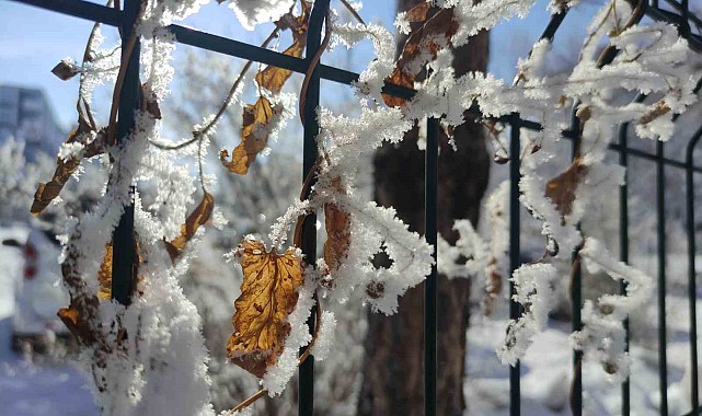 Ardahan'da dondurucu soğuklar: Göle eksi 32 derece