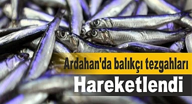 Balık fiyatları düştü, talep arttı