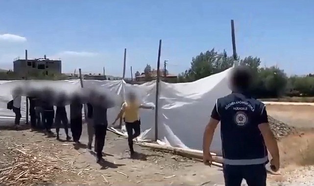 Bir yılda 263 organizatör tutuklandı
