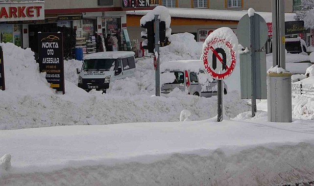 Bitlis&#039;te kar 315 yerleşim yolunu ulaşıma kapattı