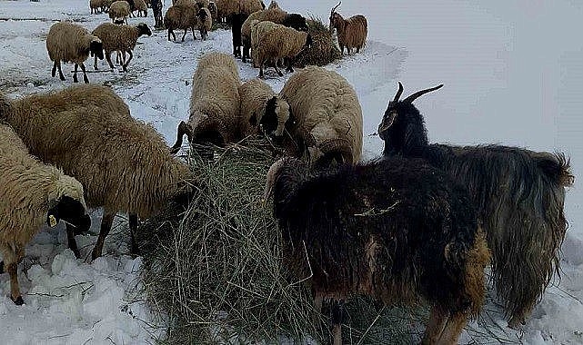 Çiftçinin derdi başladı