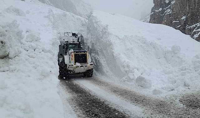 Çığ bölgesindeki çalışmalarda 10 metre yüksekten düşen ekip şefi yaralandı