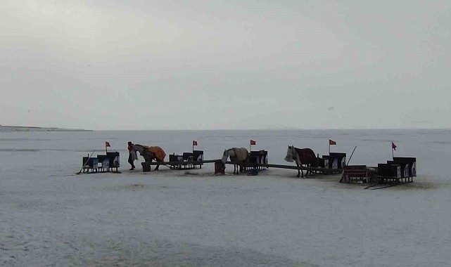 Çıldır'da kızak atlarına battaniyeli koruma