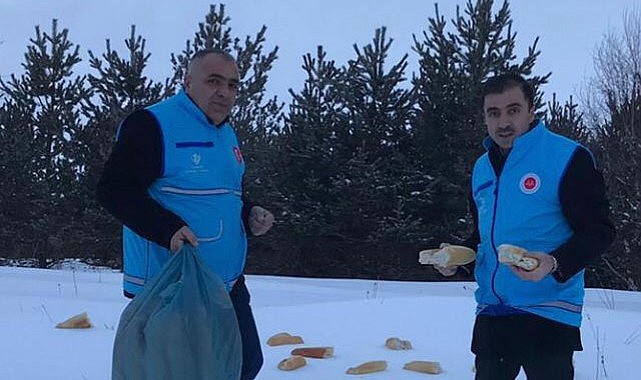 Eksi 20’de yabani hayvanlar unutulmadı