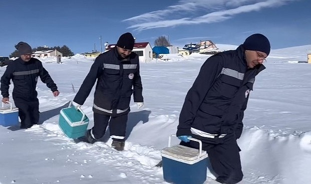 İl Tarım, kar kış demeden aşılamalara devam ediyor