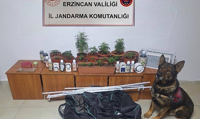 Jandarma ekipleri suç ve suçluya geçit vermiyor