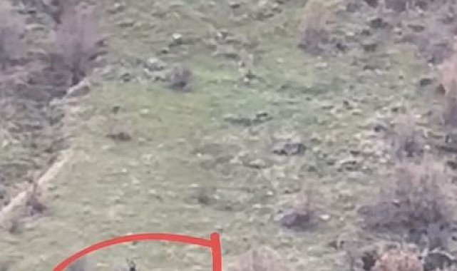 Kaçak avlanan şahıs suçüstü yakalandı