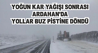 Kar ve tipi Ardahan'ı esir aldı