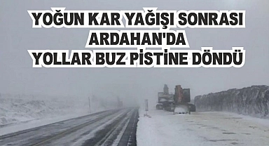 Kar ve tipi Ardahan'ı esir aldı