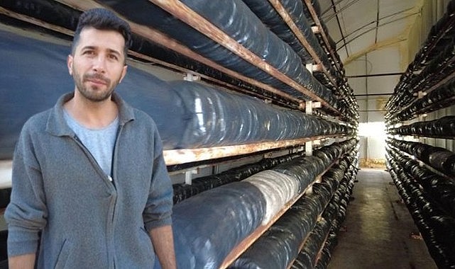 Köyünde kurduğu serada 20 ton mantar üretiyor! Yıllık kazancı 1 milyon 400 bin lira