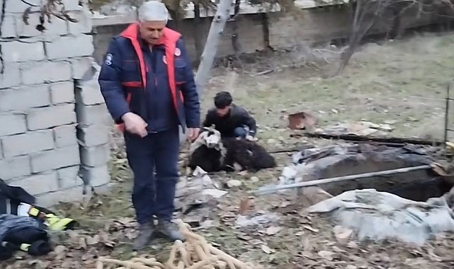 Kuyuya düşen koyunu ekipler kurtardı