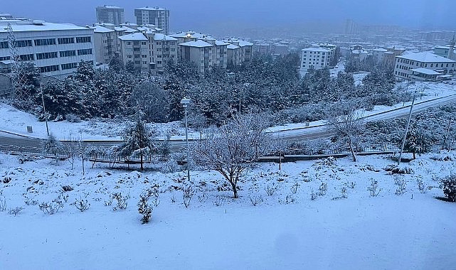 Validen esprili paylaşım