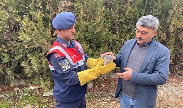 Yaralı bulunan Atmaca koruma altına alındı