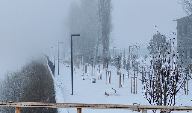 Ardahan'da soğuk hava ve sis etkili oldu