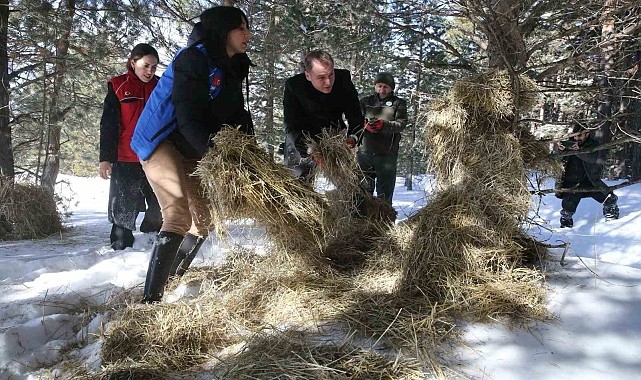 Ardahan'da yaban hayvanları için doğaya yem bırakıldı