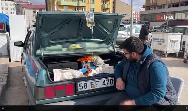 Bagajda tedavi gören buzağı yüzleri gülümsetti