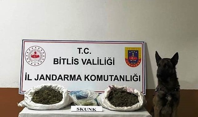 Bitlis'te 10 kilo 200 gram skunk maddesi ele geçirildi