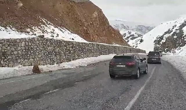 Bitlis'te yola düşen kayalar sürücülere zor anlar yaşattı